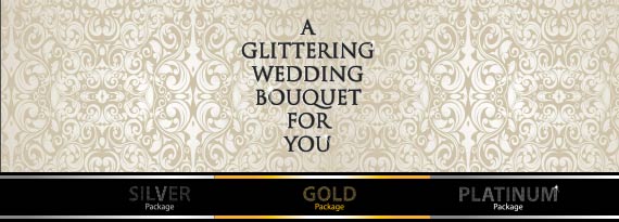 wedding package-570X205